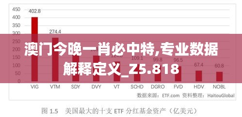 澳门今晚一肖必中特,专业数据解释定义_Z5.818