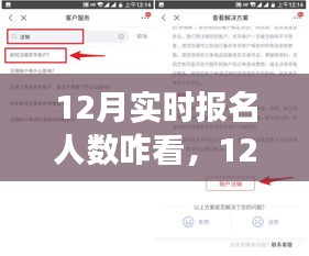 12月实时报名人数解读指南，如何准确分析与理解报名趋势