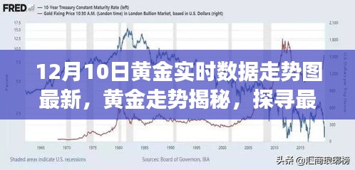 黄金走势揭秘，最新实时数据走势图背后的故事与影响