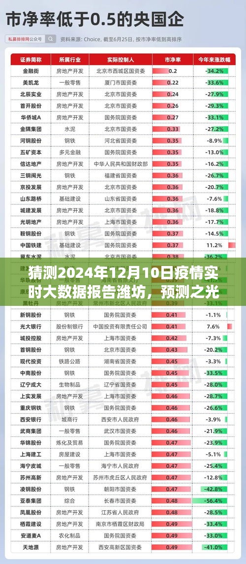 2024年12月10日潍坊疫情实时大数据预测报告，小红书上的展望