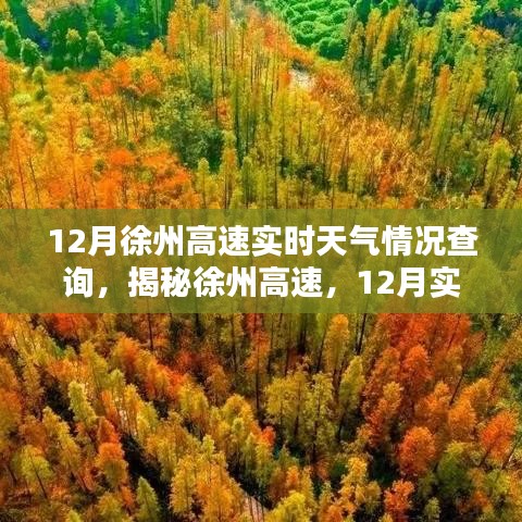 揭秘徐州高速，12月实时天气情况查询攻略及最新天气预报查询服务