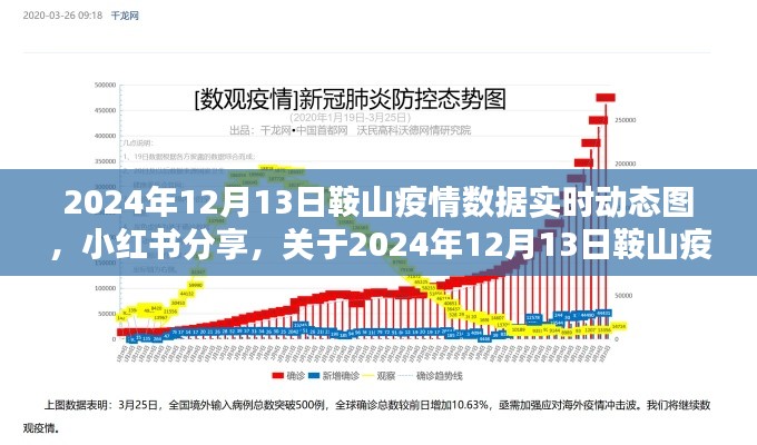 2024年12月13日鞍山疫情数据实时动态图（小红书分享）