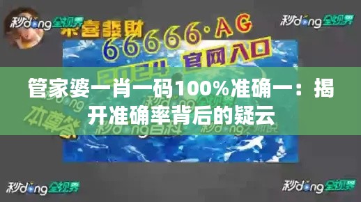 管家婆一肖一码100%准确一：揭开准确率背后的疑云