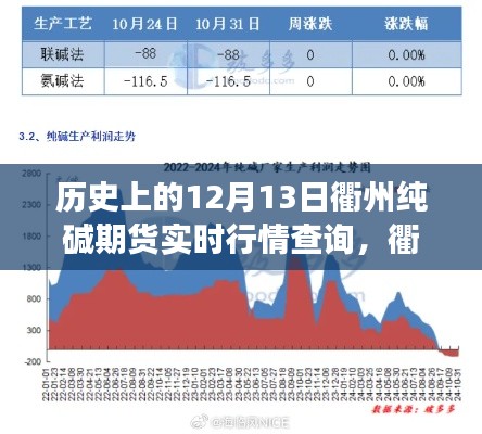 揭秘历史上的十二月十三日，衢州纯碱期货实时行情风云与隐秘小巷中的奥秘