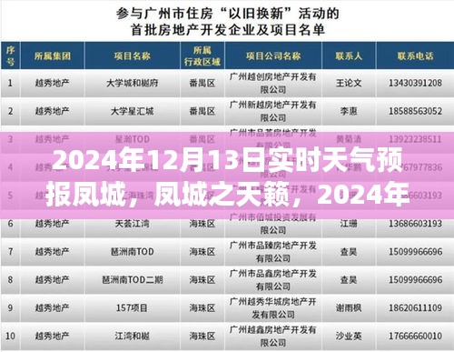 凤城天气预报深度解析，实时气象信息及凤城之天籁