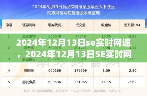 关于SE实时网速的深入洞察与体验，2024年12月13日的实时网速评测