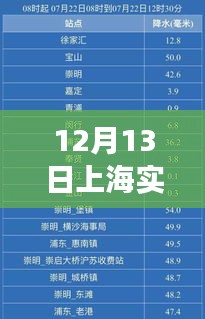 上海实时分账系统报价背后的温情故事揭秘，日常中的温情与报价更新动态（12月13日）