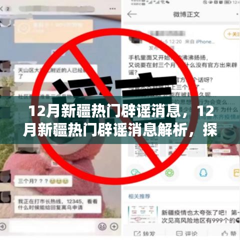 12月新疆热门辟谣消息解析，探究真相与舆论的力量