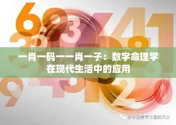 一肖一码一一肖一子：数字命理学在现代生活中的应用