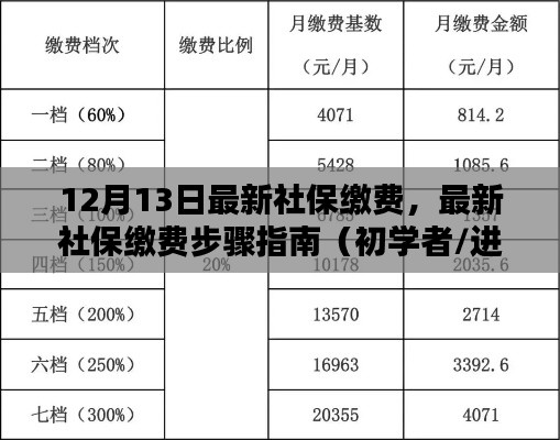 最新社保缴费步骤详解，初学者与进阶用户指南（12月13日更新）