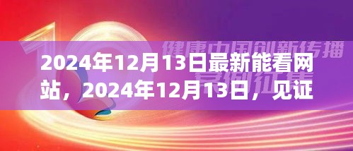 见证新时代，最新网站上线，开启新篇章（2024年12月13日）