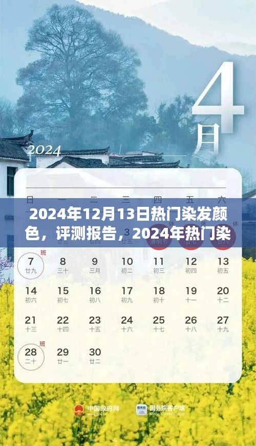 2024年热门染发颜色全面解析与评测报告