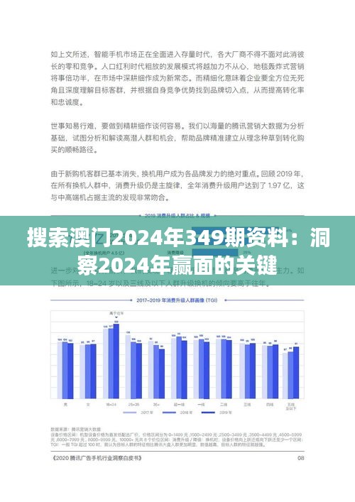 搜索澳门2024年349期资料：洞察2024年赢面的关键