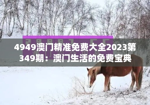 4949澳门精准免费大全2023第349期：澳门生活的免费宝典