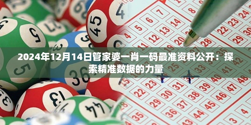 2024年12月14日管家婆一肖一码最准资料公开：探索精准数据的力量