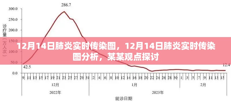 肺炎实时传染图分析，观点探讨与最新动态（12月14日）