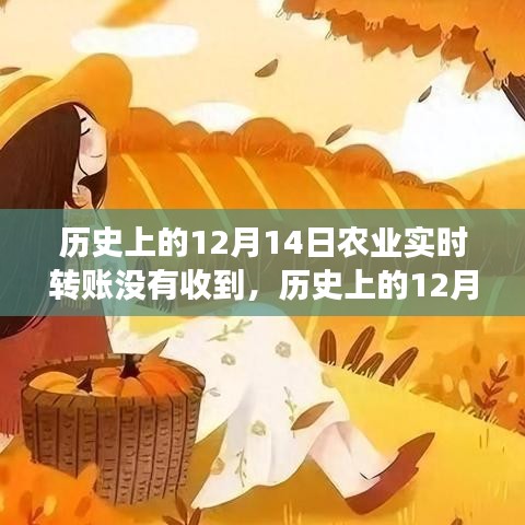 历史上的12月14日，农业转账的意外与心灵之旅的交汇点