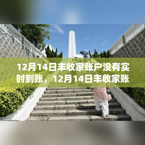 揭秘背后真相，12月14日丰收家账户未实时到账事件及其影响