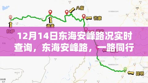 东海安峰路实时路况查询，温情满溢的同行之旅