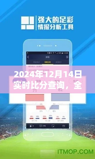 2024年12月14日实时比分查询全面解析与服务深度评测