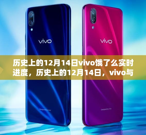 vivo与饿了么携手共进，历史上的12月14日实时进度回顾