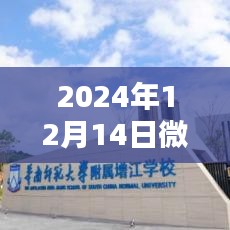 揭秘微博新纪元，实时互动不掉队的高科技体验，未来触手可及（2024年微博实时指南）