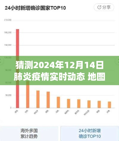 2024年12月14日肺炎疫情动态预测与洞察，地图解析未来趋势