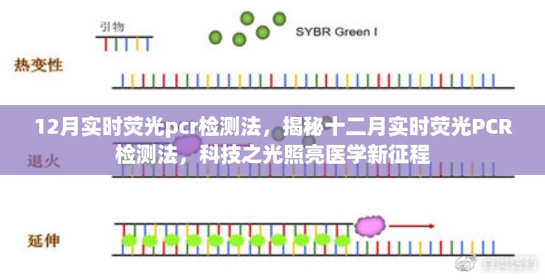 揭秘十二月实时荧光PCR检测法，科技之光引领医学新征程