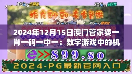 2024年12月15日澳门管家婆一肖一码一中一：数字游戏中的机遇与挑战分析