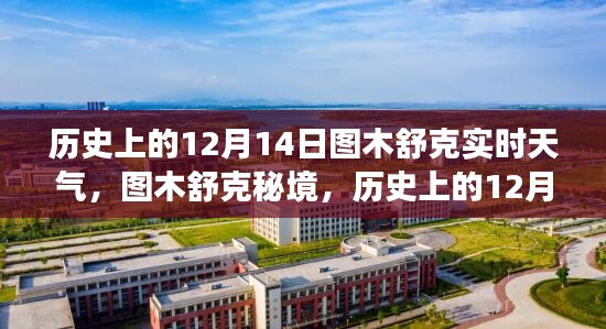 图木舒克秘境，历史上的12月14日天气与心灵之旅的交汇点