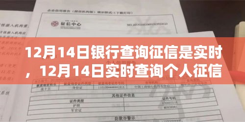 12月14日实时查询个人征信报告，详细步骤指南与实时更新征信查询解析