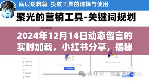 揭秘小红书实时留言动态加载，探寻2024年12月14日的魅力分享