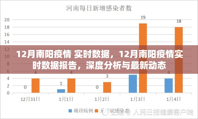 南阳疫情最新实时数据报告，深度分析与最新动态