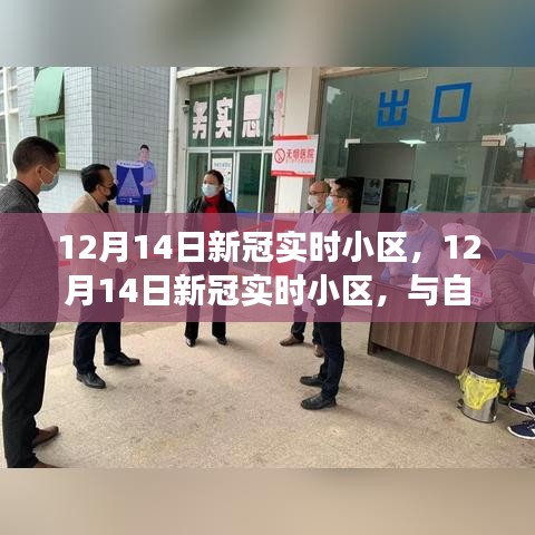 12月14日新冠实时小区，自然美景中的内心平和之旅