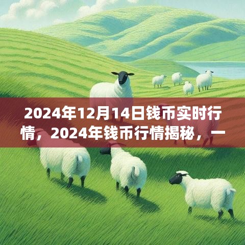 揭秘2024年钱币行情，自然美景之旅中的心灵平和与宁静探寻