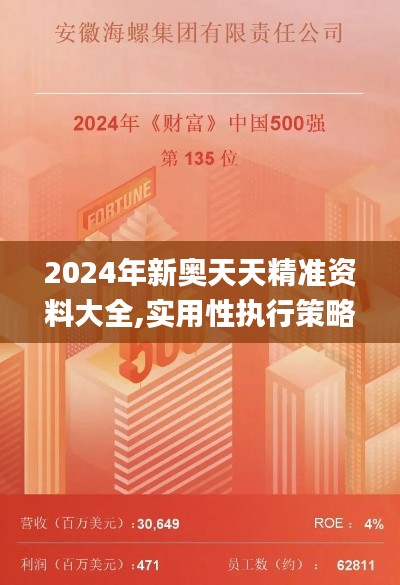 2024年新奥天天精准资料大全,实用性执行策略讲解_OP9.135