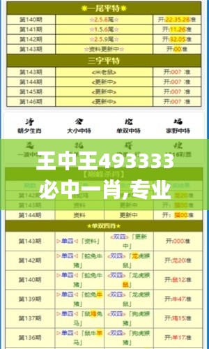 王中王493333必中一肖,专业解析说明_娱乐版4.720