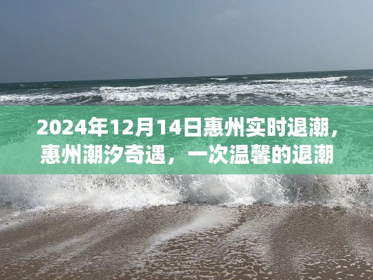 惠州潮汐奇遇，温馨退潮之旅（2024年12月14日）