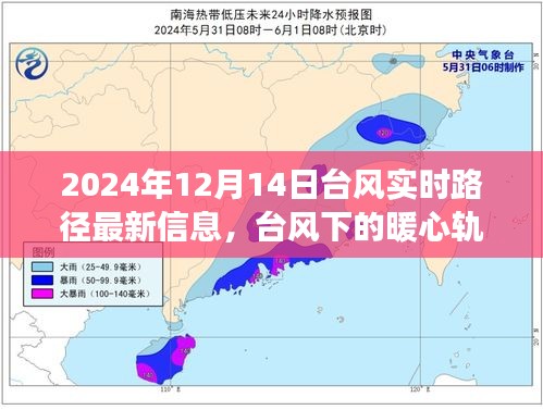 台风下的暖心轨迹，台风实时路径更新与友情冒险的日常