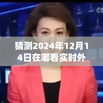 探索未来外汇汇率查询点，心灵港湾与自然美景之旅，预测实时外汇汇率查询体验（2024年12月14日）