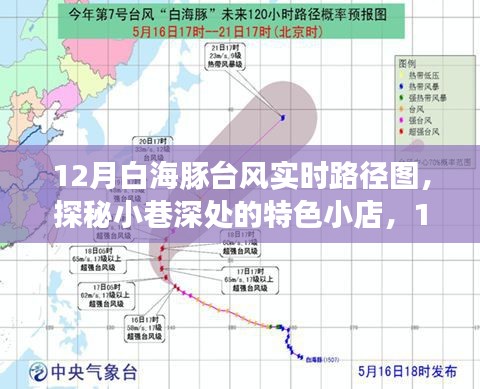 探秘特色小店与白海豚台风实时路径图的奇幻之旅