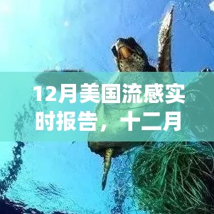 美国流感十二月报告，暖阳下的友情与陪伴之旅