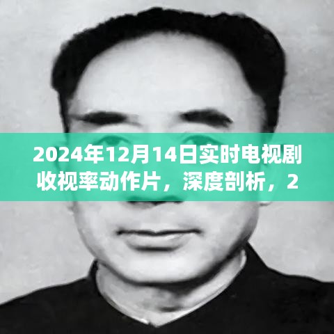 2024年12月14日实时电视剧收视率动作片深度解析与全面评测