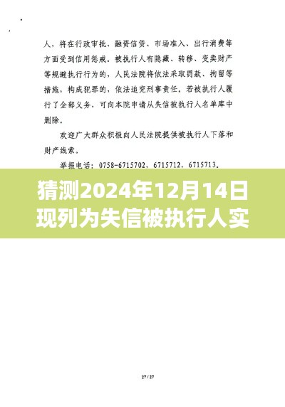 失信之影，聚焦失信被执行人的故事与影响，揭示2024年失信风波背后的真相