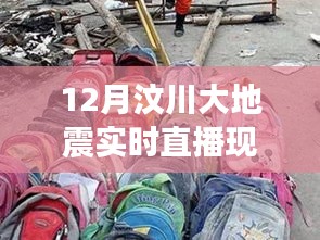 汶川大地震实时直播现场，全面评测与详细介绍