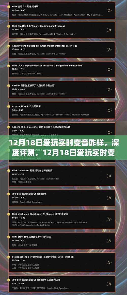 12月18日深度评测，爱玩实时变音功能体验与全面分析