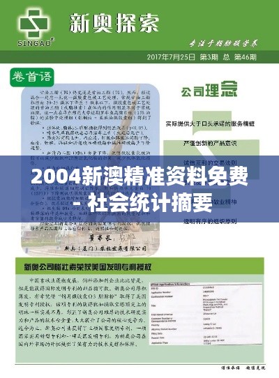 2004新澳精准资料免费 - 社会统计摘要