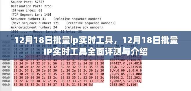 12月18日批量IP实时工具详解与全面评测