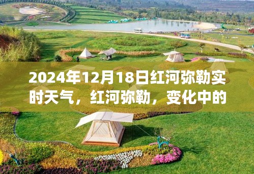 红河弥勒实时天气与励志故事，阳光下的学习力量，2024年12月18日