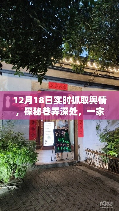 巷弄深处的特色小店，12月18日实时舆情探秘与揭秘